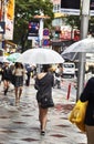 Attractive beautiful lady hold an umbrella.